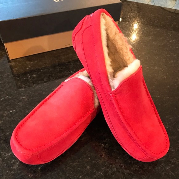 UGG | Shoes | New Ugg Ascot Slipper 